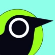 Grayola Logo
